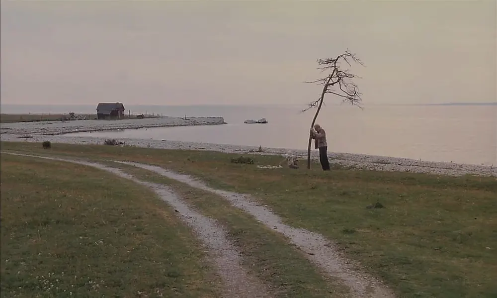 Hombre le reza a un árbol muerto, El sacrificio (1986), Andrei Tarkovsky