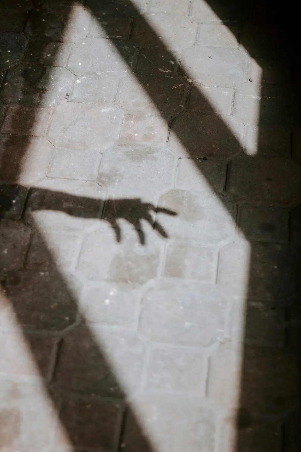 Photo by Hayley Catherine on Unsplash
