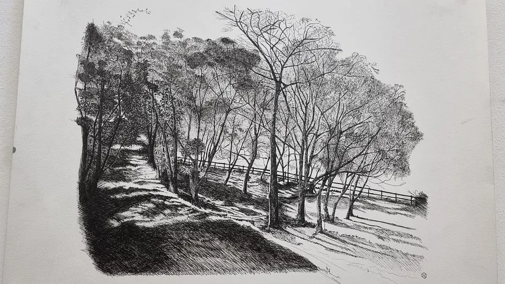 Árboles de la barranca en Baradero, foráneos y nativos conviviendo, el dibujo es de Alfredo Chaves.